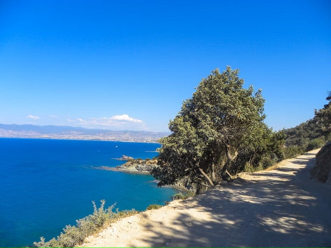 You should obligatory visit park Akamas in Cyprus