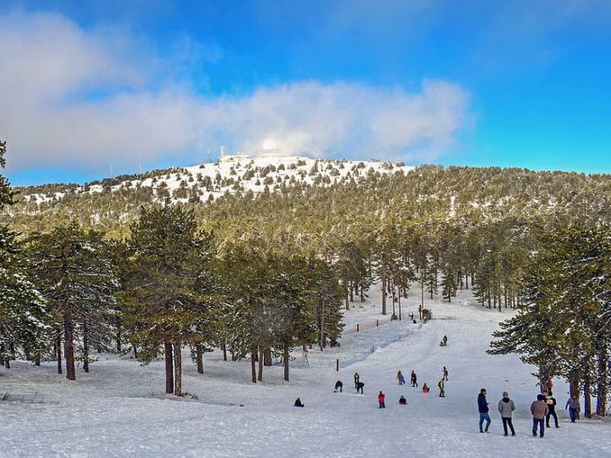 You can ski in the Troodos Mountains in Cyprus in late January