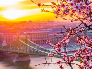 Budapest blooms in March