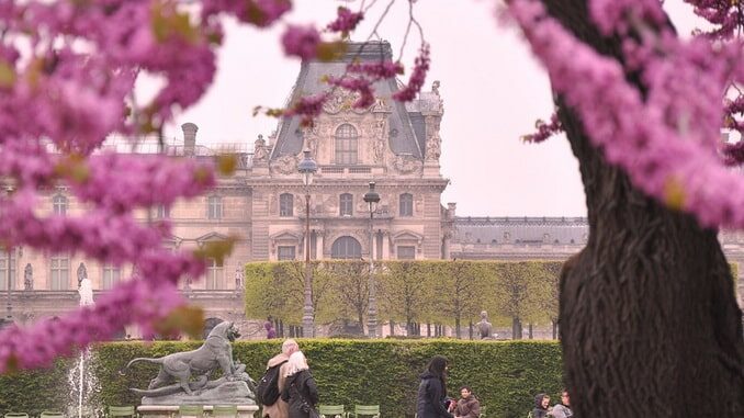 In the beginning of April Paris is blossoming