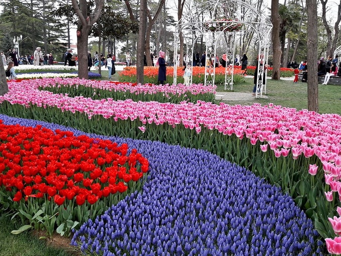 At the end of March, the Tulip Festival takes place in Istanbul